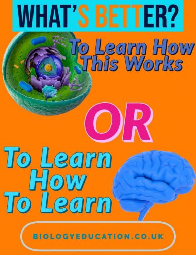 Learn how to learn